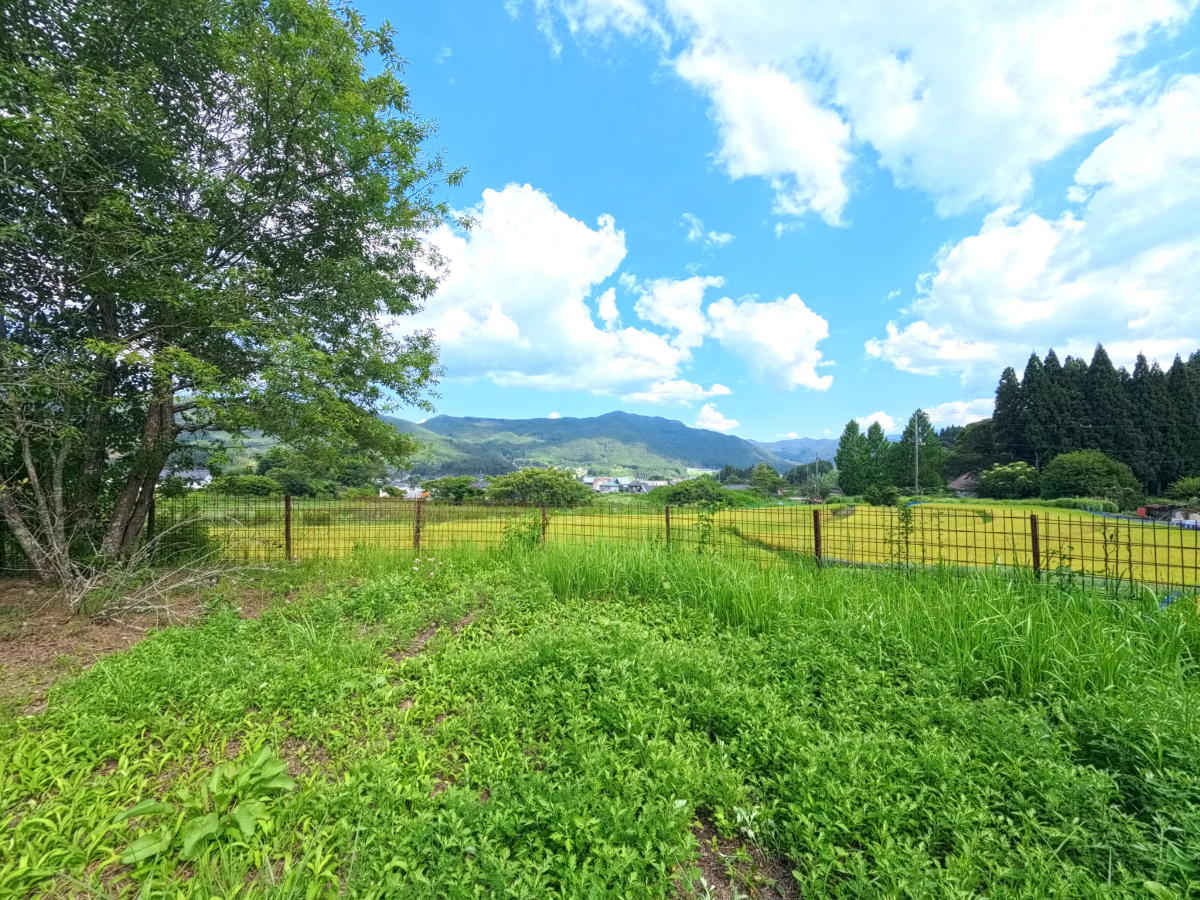 【久万高原町入野】1,054坪超の敷地に建つ築15年の平屋|薪ストーブとサンルームのある暮らし